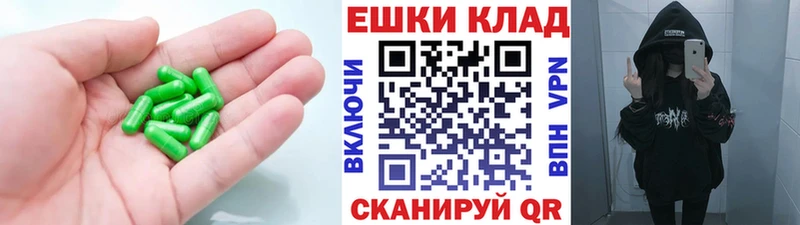 Экстази круглые  где купить   Каргат 