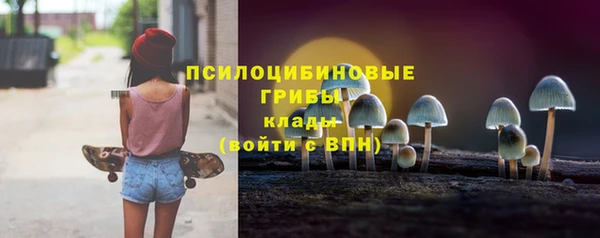 соль ск Алексин