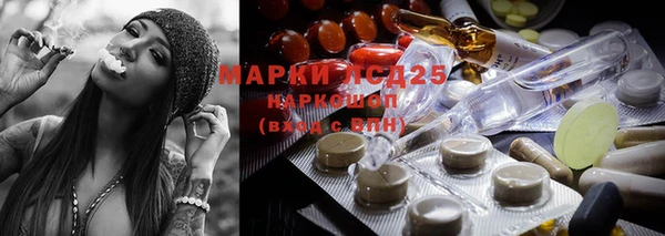 соль ск Алексин