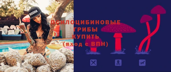соль ск Алексин